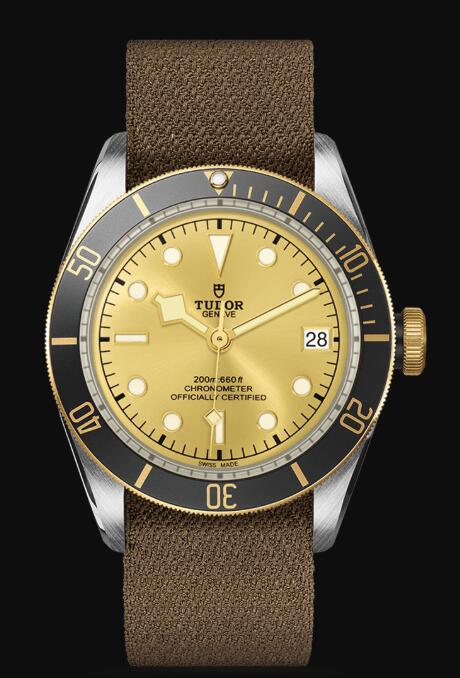 Tudor BLACK BAY S&G M79733N-0006 Replica Watch
